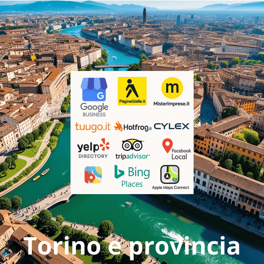 Ottimizzazione Scheda Google – Torino e provincia